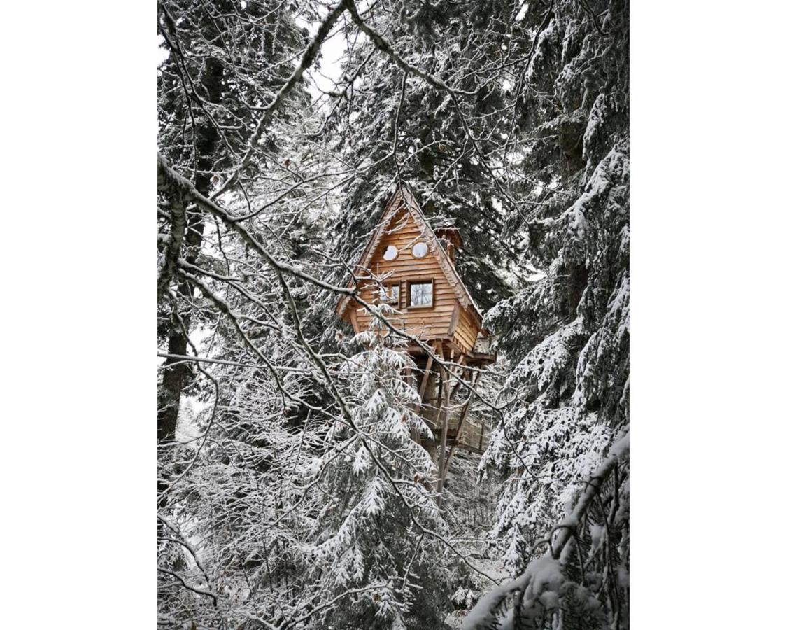 Cabanes Des Volcans ลาตูร์โดแวน ภายนอก รูปภาพ