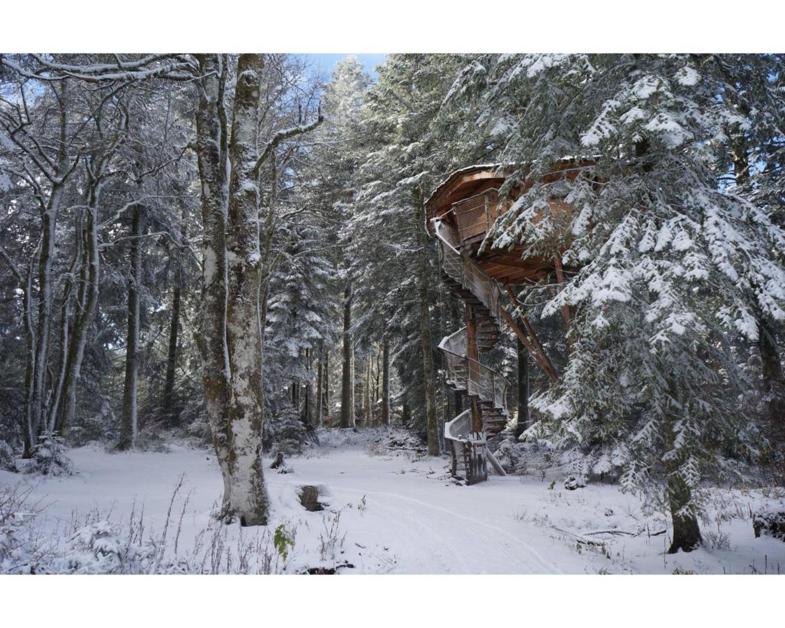 Cabanes Des Volcans ลาตูร์โดแวน ภายนอก รูปภาพ